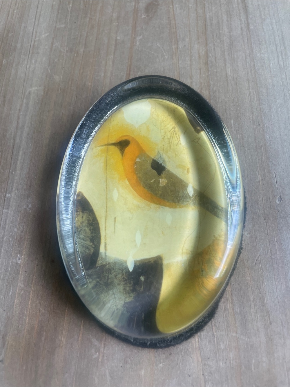 Oval Glass Dome Bird Art Accent - Yellow & Black paper weight